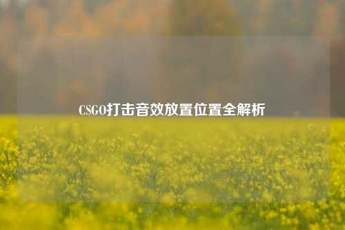 CSGO打击音效放置位置全解析