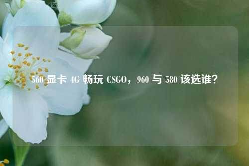 560 显卡 4G 畅玩 CSGO，960 与 580 该选谁？