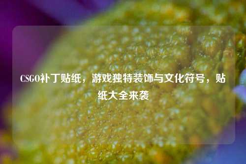 CSGO补丁贴纸，游戏独特装饰与文化符号，贴纸大全来袭