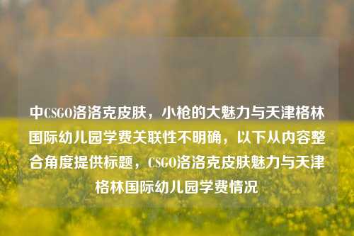 中CSGO洛洛克皮肤，小枪的大魅力与天津格林国际幼儿园学费关联性不明确，以下从内容整合角度提供标题，CSGO洛洛克皮肤魅力与天津格林国际幼儿园学费情况