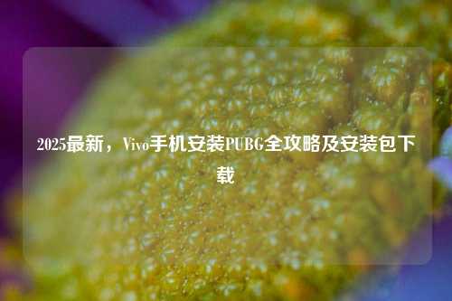 2025最新，Vivo手机安装PUBG全攻略及安装包下载