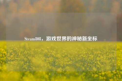 Steam808，游戏世界的神秘新坐标