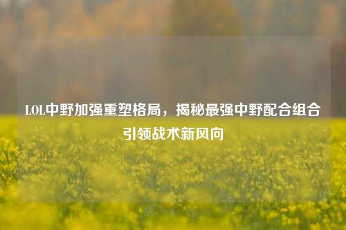 LOL中野加强重塑格局，揭秘最强中野配合组合引领战术新风向