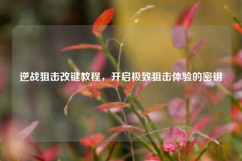 逆战狙击改键教程,开启极致狙击体验的密钥