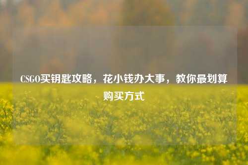 CSGO买钥匙攻略，花小钱办大事，教你最划算购买方式