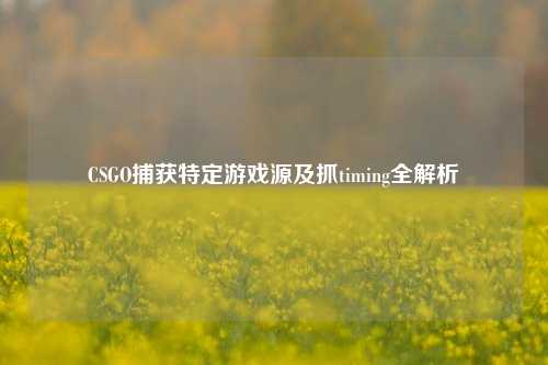 CSGO捕获特定游戏源及抓timing全解析