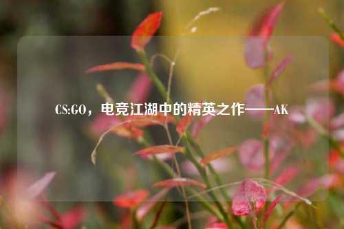 CS:GO，电竞江湖中的精英之作——AK