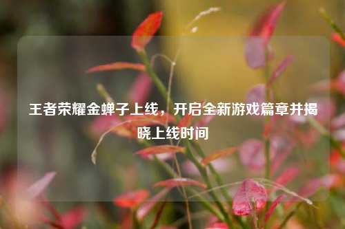王者荣耀金蝉子上线，开启全新游戏篇章并揭晓上线时间