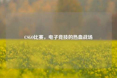 CSGO比赛，电子竞技的热血战场