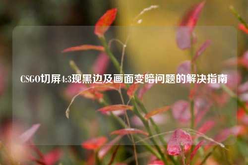 CSGO切屏4:3现黑边及画面变暗问题的解决指南