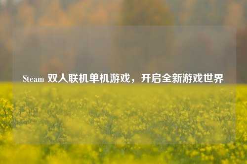 Steam 双人联机单机游戏，开启全新游戏世界