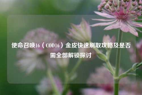 使命召唤16（COD16）金皮快速刷取攻略及是否需全部解锁探讨