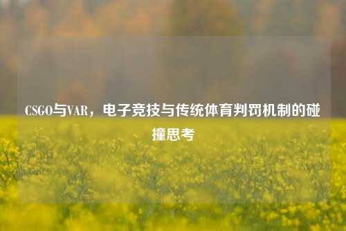 CSGO与VAR，电子竞技与传统体育判罚机制的碰撞思考