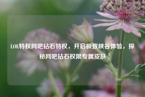 LOL特权网吧钻石特权，开启极致峡谷体验，探秘网吧钻石权限专属皮肤