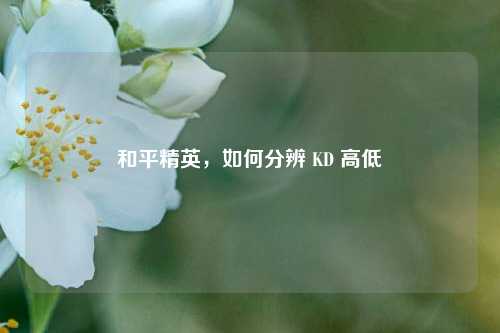 和平精英，如何分辨 KD 高低