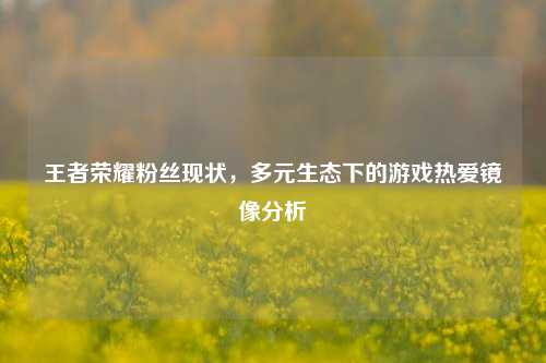 王者荣耀粉丝现状，多元生态下的游戏热爱镜像分析
