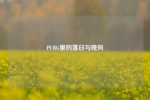PUBG里的落日与晚风