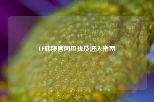 CF韩服官网查找及进入指南
