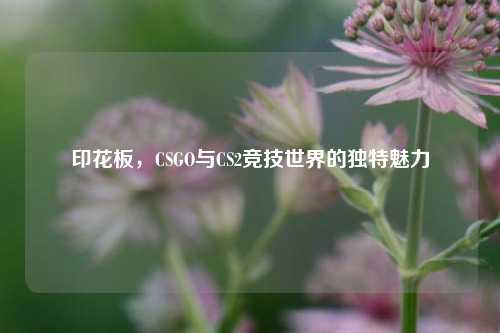 印花板，CSGO与CS2竞技世界的独特魅力