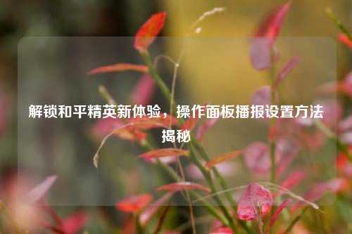 解锁和平精英新体验，操作面板播报设置方法揭秘