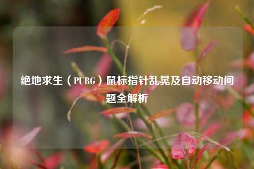 绝地求生（PUBG）鼠标指针乱晃及自动移动问题全解析