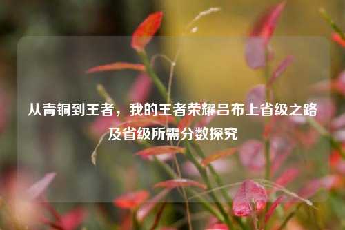 从青铜到王者，我的王者荣耀吕布上省级之路及省级所需分数探究
