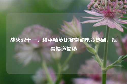 战火双十一，和平精英比赛燃动电竞热潮，观看渠道揭秘