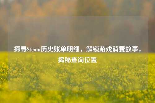 探寻Steam历史账单明细，解锁游戏消费故事，揭秘查询位置
