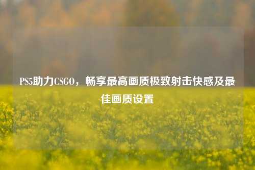 PS5助力CSGO，畅享最高画质极致射击快感及最佳画质设置