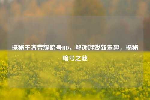 探秘王者荣耀暗号HD，解锁游戏新乐趣，揭秘暗号之谜