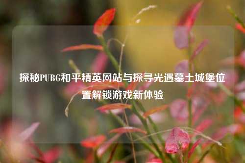 探秘PUBG和平精英网站与探寻光遇墓土城堡位置解锁游戏新体验