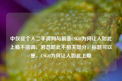 中仪征个人二手房网与前面CSGO为何让人如此上瘾不搭调，若忽略此不相关部分，标题可以是，CSGO为何让人如此上瘾