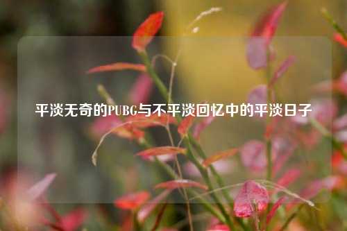 平淡无奇的PUBG与不平淡回忆中的平淡日子