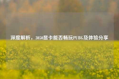 深度解析，3050显卡能否畅玩PUBG及体验分享