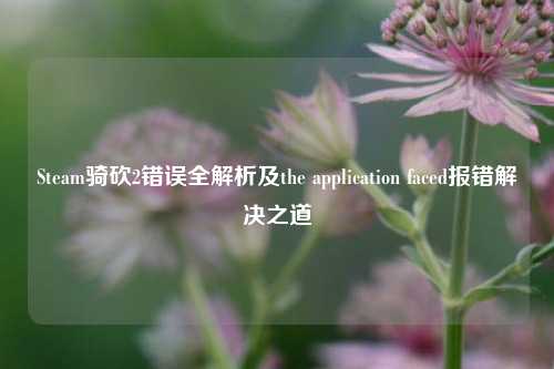 Steam骑砍2错误全解析及the application faced报错解决之道
