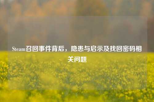 Steam召回事件背后，隐患与启示及找回密码相关问题