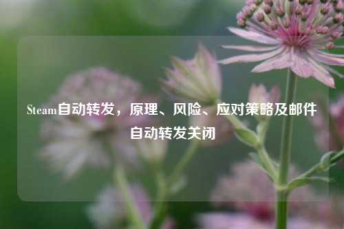 Steam自动转发，原理、风险、应对策略及邮件自动转发关闭
