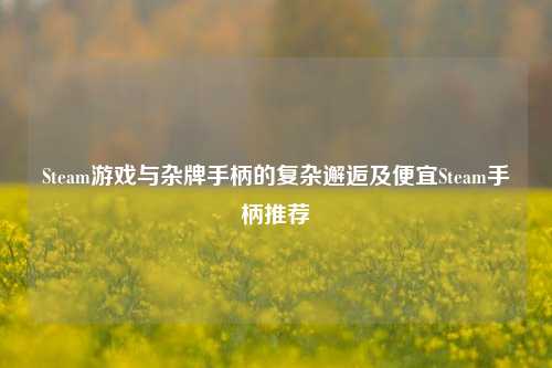 Steam游戏与杂牌手柄的复杂邂逅及便宜Steam手柄推荐