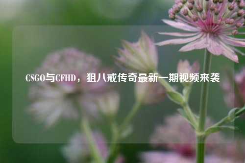 CSGO与CFHD，狙八戒传奇最新一期视频来袭