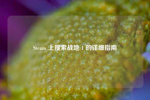 Steam 上搜索战地 1 的详细指南