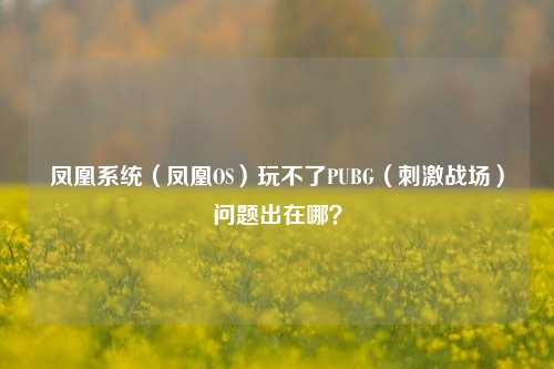 凤凰系统（凤凰OS）玩不了PUBG（刺激战场）问题出在哪？