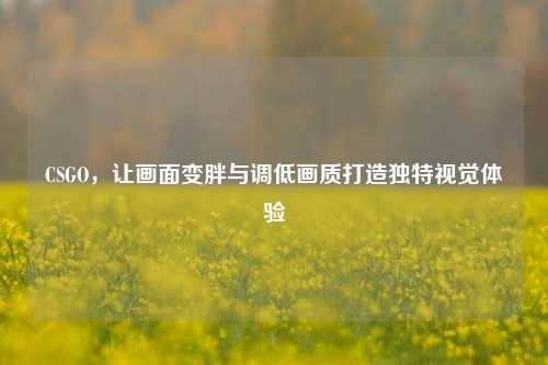 CSGO，让画面变胖与调低画质打造独特视觉体验