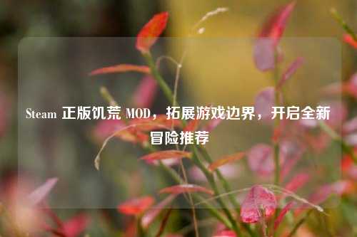 Steam 正版饥荒 MOD，拓展游戏边界，开启全新冒险推荐