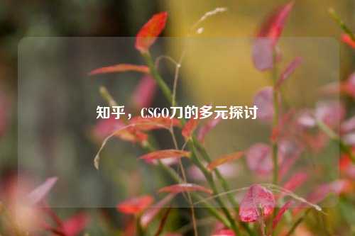 知乎，CSGO刀的多元探讨