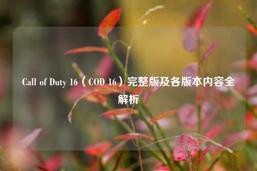 Call of Duty 16（COD 16）完整版及各版本内容全解析