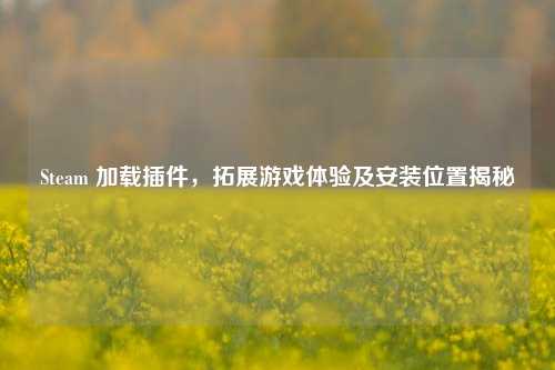 Steam 加载插件，拓展游戏体验及安装位置揭秘