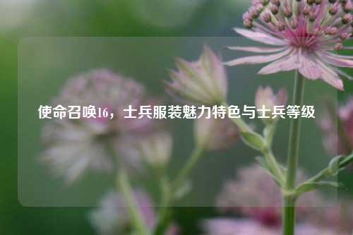 使命召唤16，士兵服装魅力特色与士兵等级