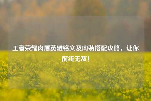 王者荣耀肉盾英雄铭文及肉装搭配攻略，让你前线无敌！