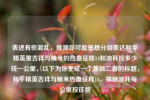 表述有些混乱，推测你可能是想分别表达和平精英里吉祥与柚米的热血征程14和油耗投多少钱一公里，以下为你生成一个兼顾二者的标题，和平精英吉祥与柚米热血征程14，揭秘油耗每公里投钱数