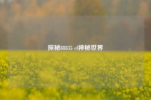 探秘88835 cf神秘世界